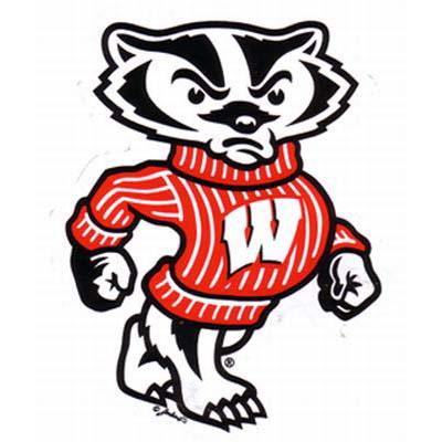 Wisconsin Badgers Car Magnet Small My, Wisconsin Badgers Shower Curtain
